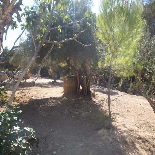 Offres de vente Maison Narbonne 11100